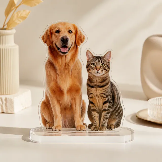 Figurine foto cu un câine și o pisică, decupate pe contur din plexiglas